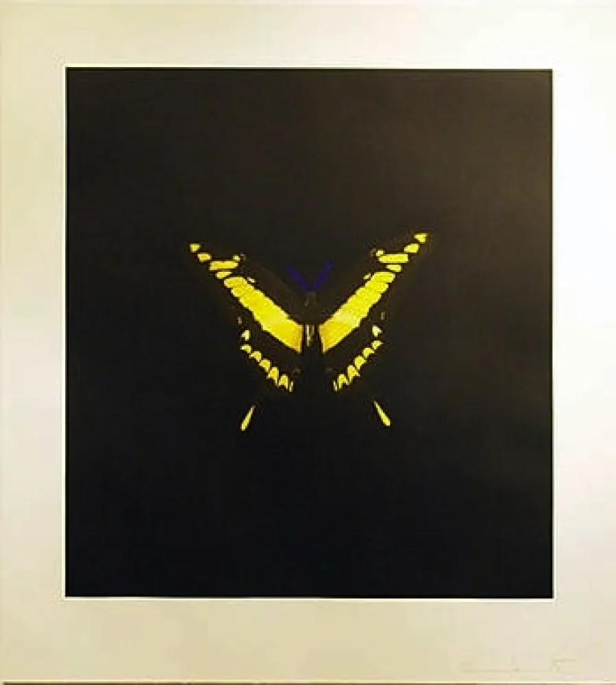 Radierung Hirst - The Souls On Jacob's Ladder Take Their Flight (Small Yellow)