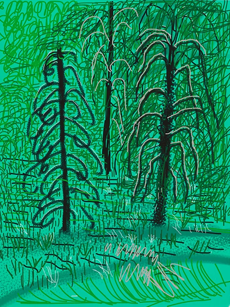 Digitale Druckgrafik Hockney - Yosemite No.16