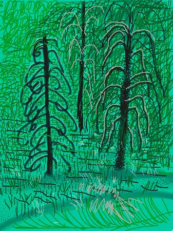 Digitale Druckgrafik Hockney - Yosemite No.16