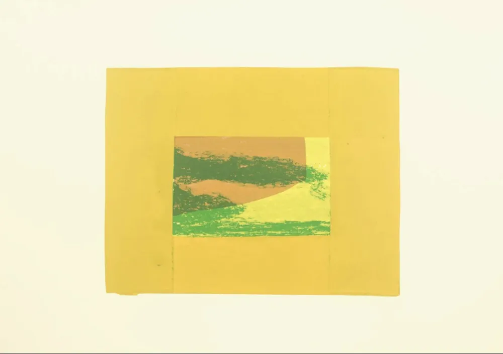 Siebdruck Hodgkin - Indian Views – Plate F