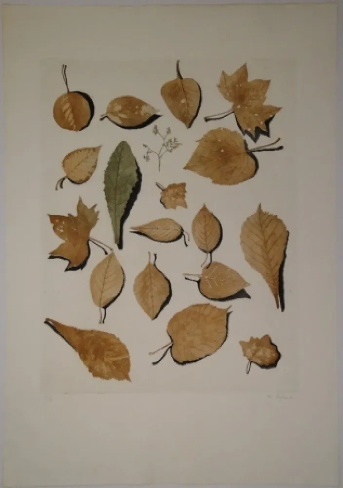 Radierung Und Aquatinta Hofkunst - (Welke Laubblätter)