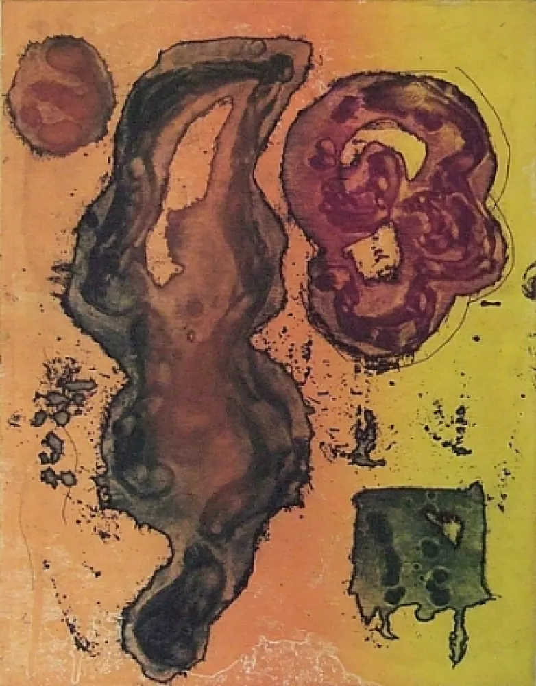 Radierung Und Aquatinta Hoyland - Rivers of Surprise