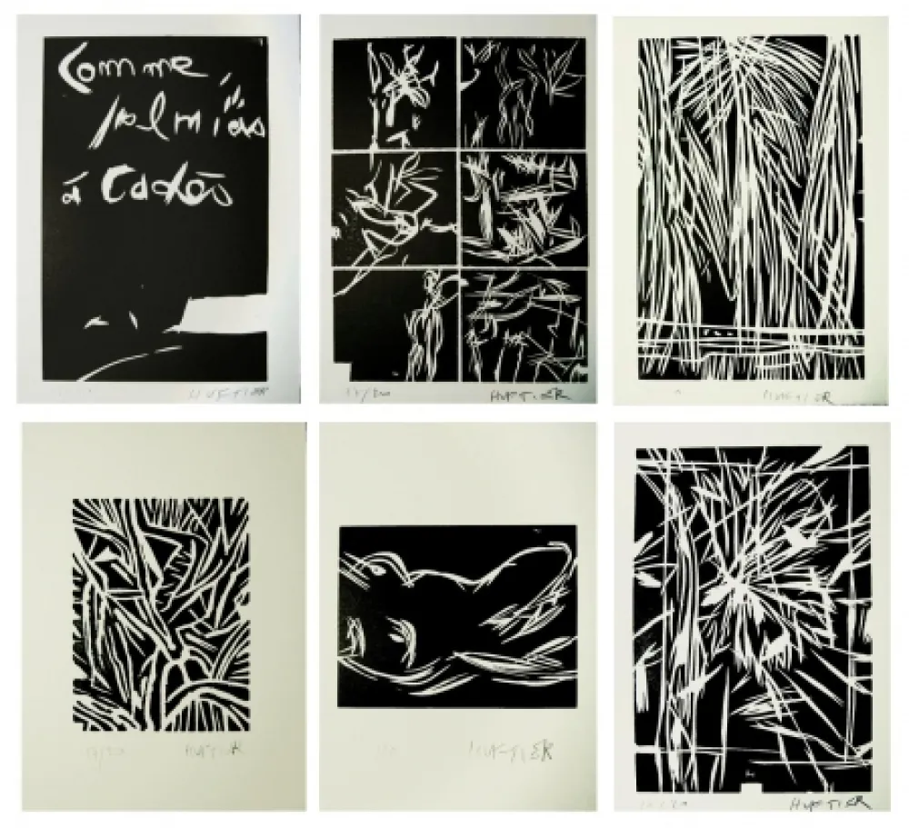 Illustriertes Buch Huftier - Comme Palmiers à Cadès