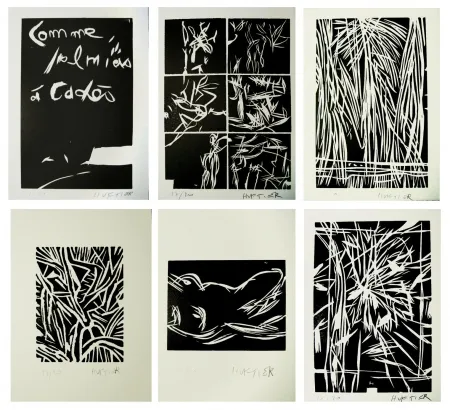 Illustriertes Buch Huftier - Comme Palmiers à Cadès