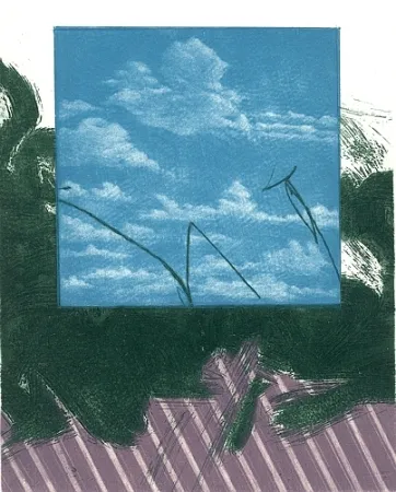 Illustriertes Buch Ikeda - Gennaio a Kyoto