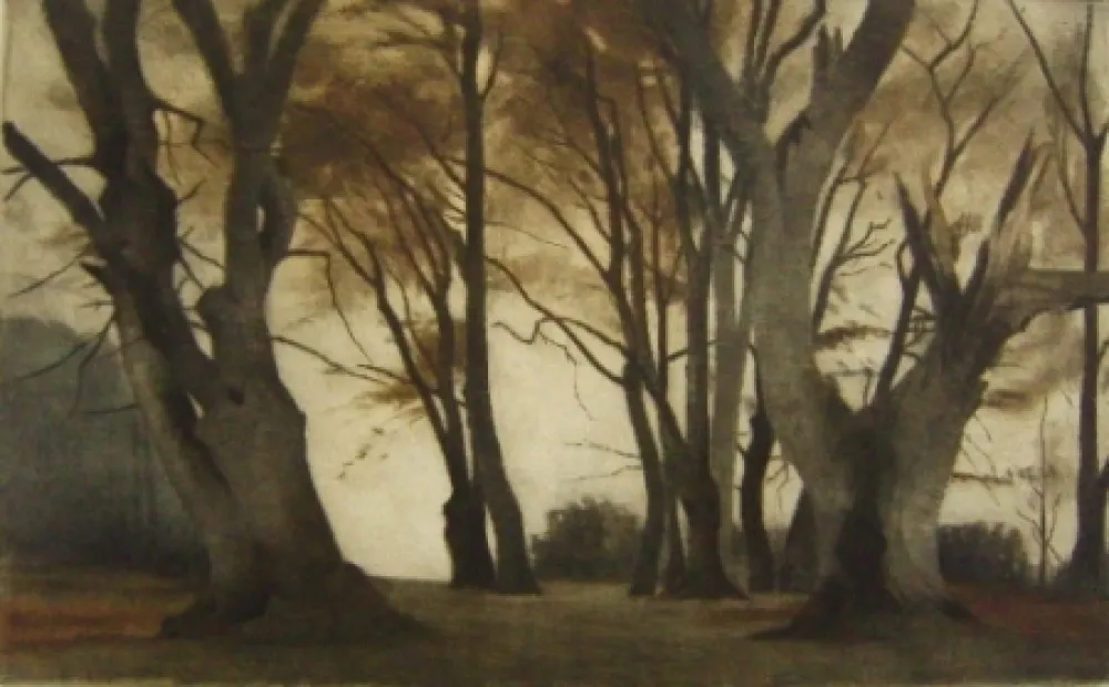 Mezzotinto Ilsted - Trees in Elmelunden