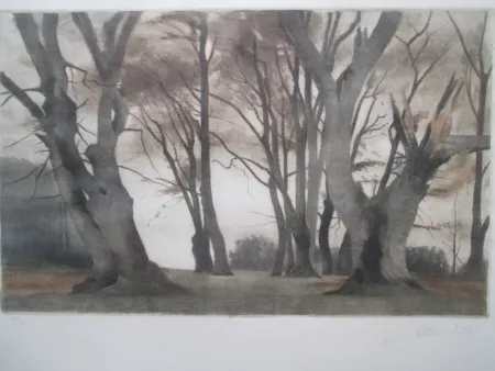 Mezzotinto Ilsted - Trees in Ermelunden