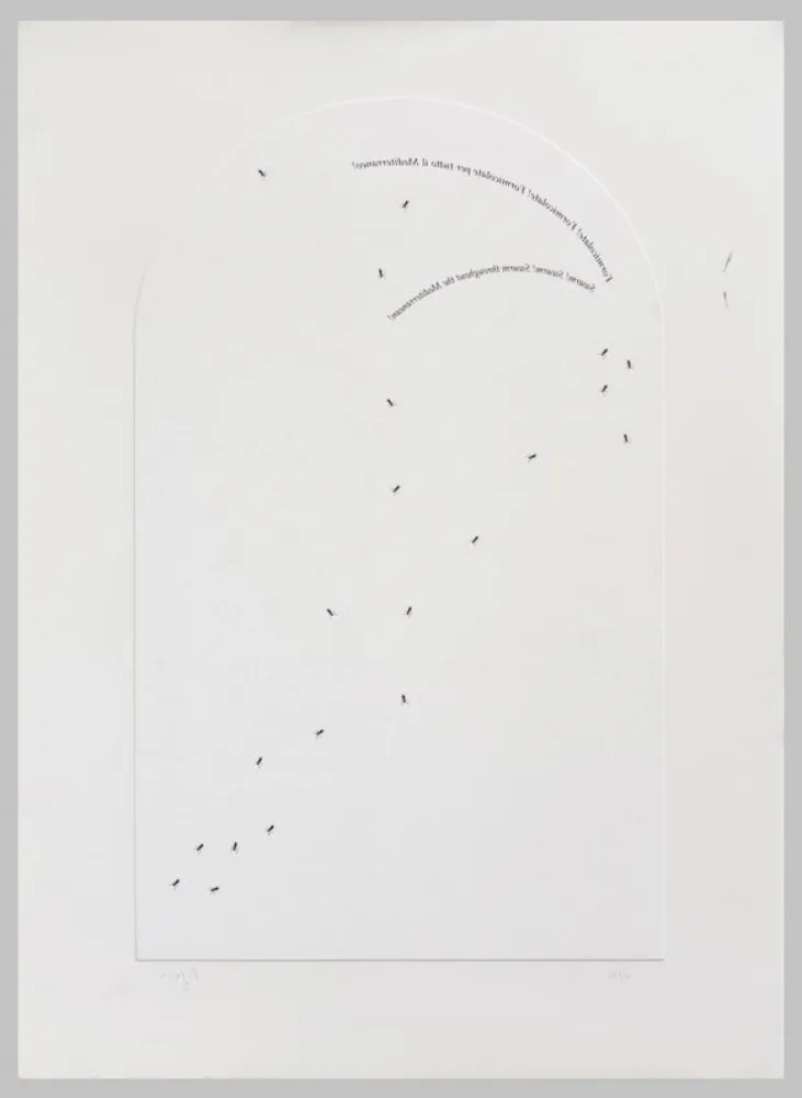 Siebdruck Isgro - Formicolate! Formicolate! Formicolate per tutto il mediterraneo!