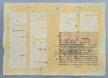 Siebdruck Isgro - Mozart