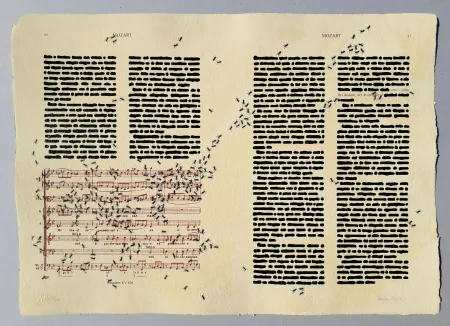 Siebdruck Isgro - Mozart