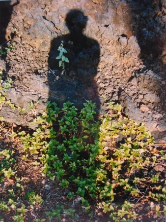 Keine Technische Jacobs - Shadows II