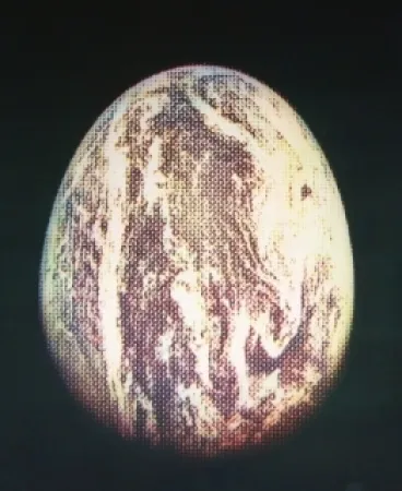 Radierung Und Aquatinta Jacquet - L'oeuf