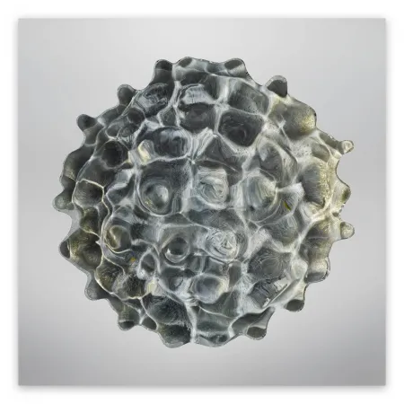 Fotografie Janiak - Résonance - water drop 84 (Large)