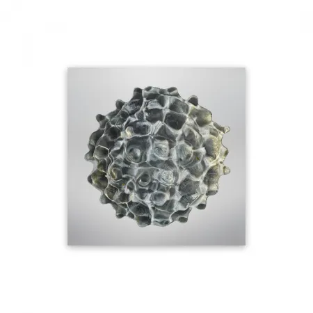 Fotografie Janiak - Résonance - water drop 84 (Medium)