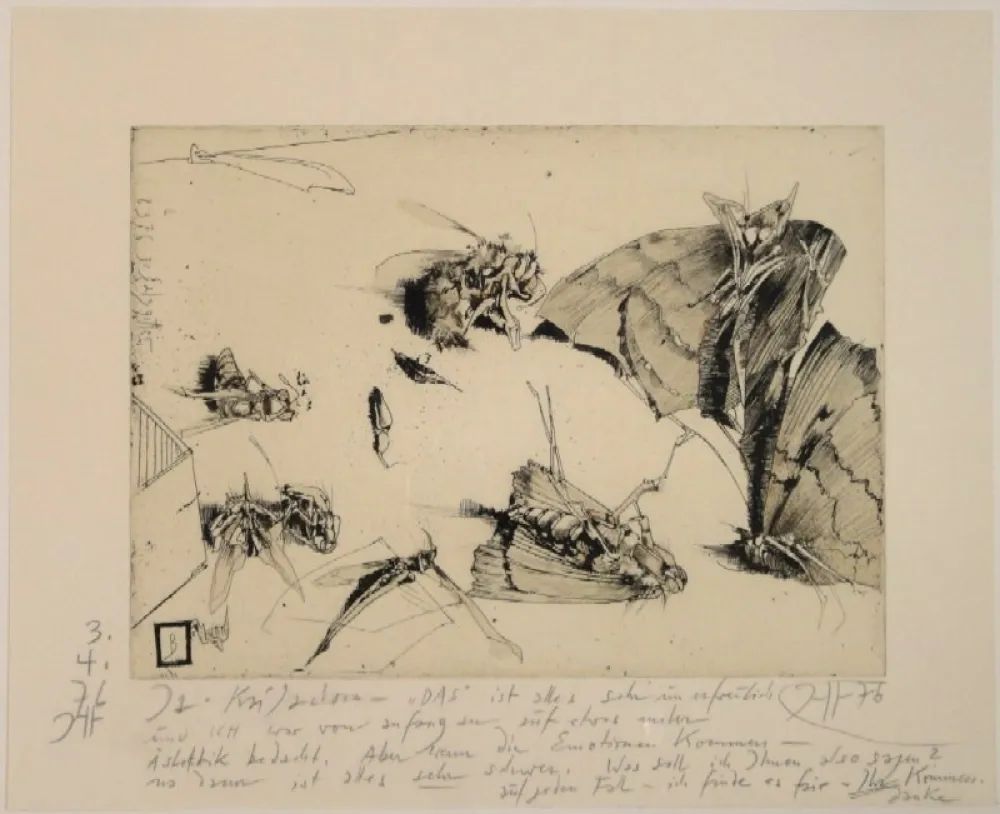 Stich Janssen - (Tote Nachtfalter und Insekten)