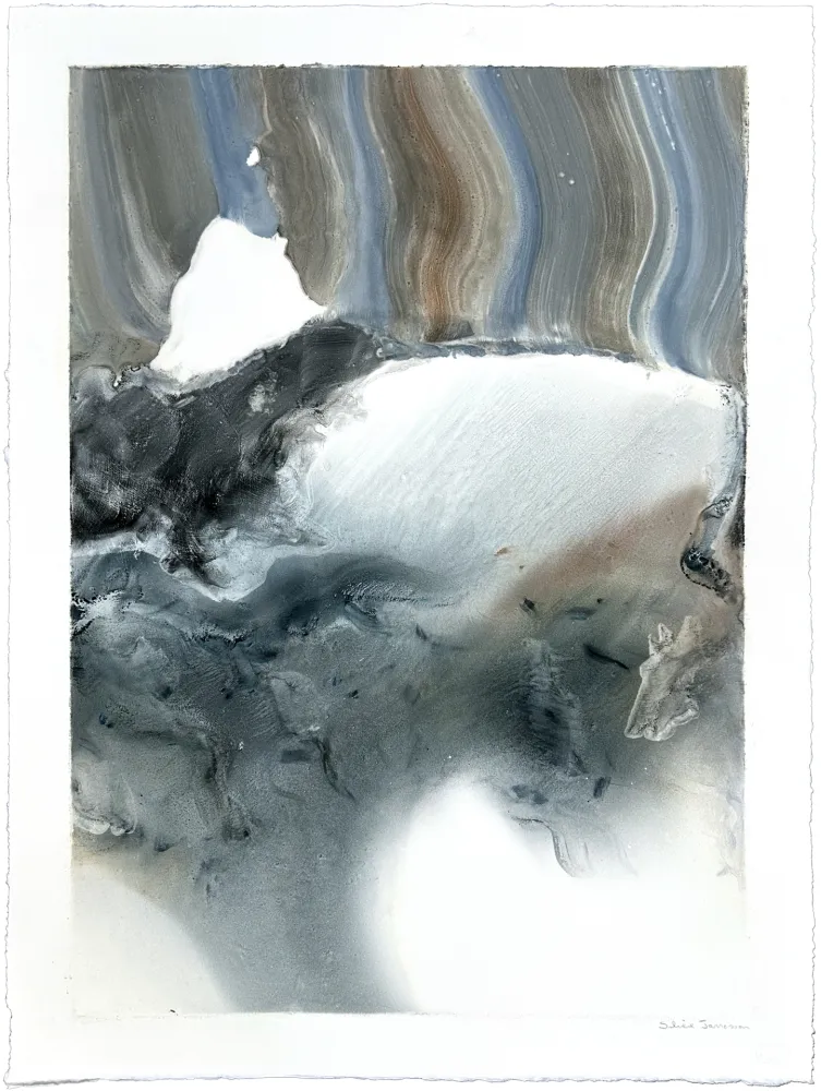 Monotypie Jarrosson - Hétérotopie 1-2