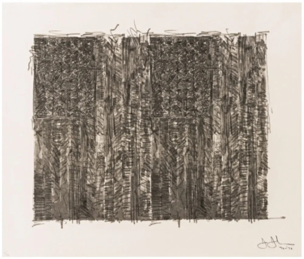 Siebdruck Johns - Two Flags