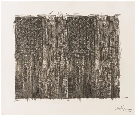 Siebdruck Johns - Two Flags