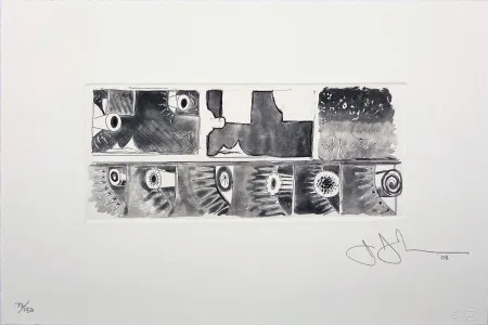 Aquatinta Johns - Untitled from the Artist for Obama Portfolio