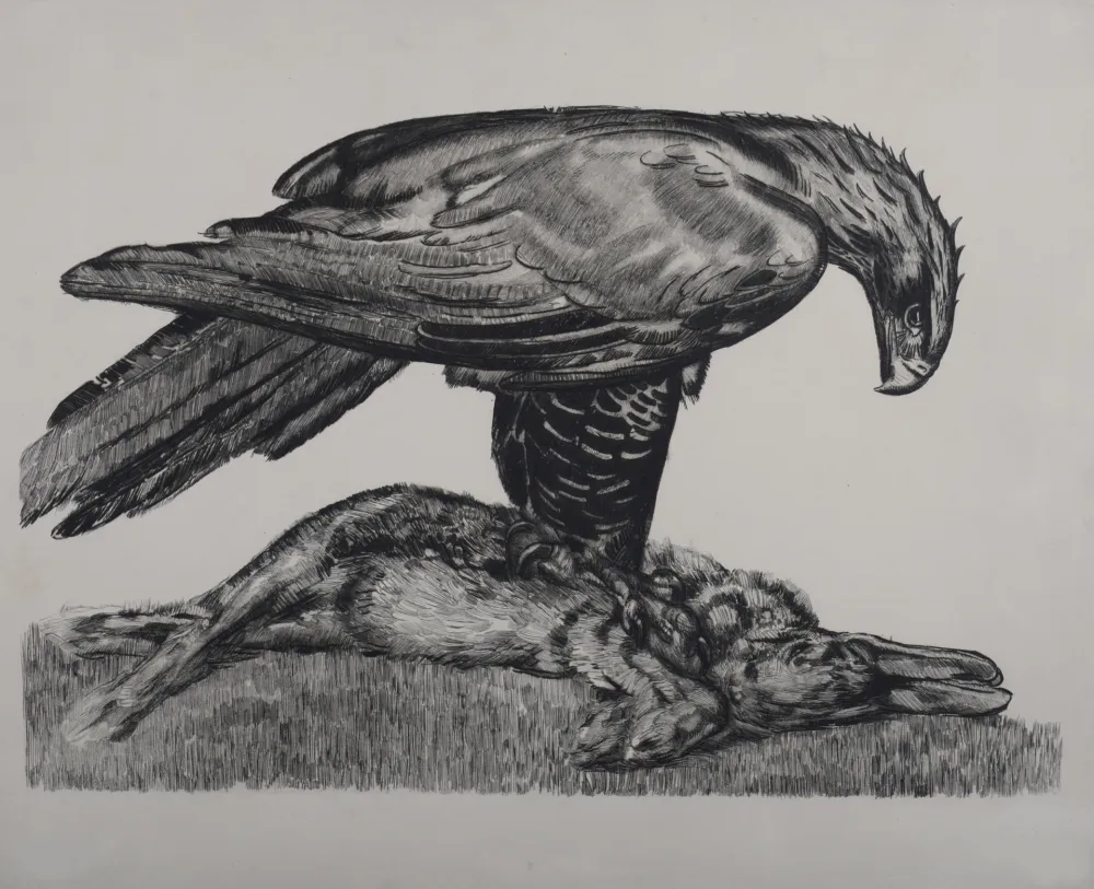 Radierung Jouve - Aigle enserrant un lièvre, c. 1930 - Deluxe suite!
