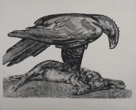 Radierung Jouve - Aigle enserrant un lièvre, c. 1930 - Deluxe suite!