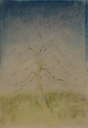 Keine Technische Junghanns - (Kahler Baum)