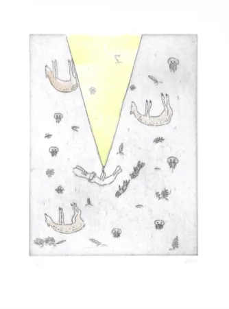 Stich Kaga - Usacchi 4