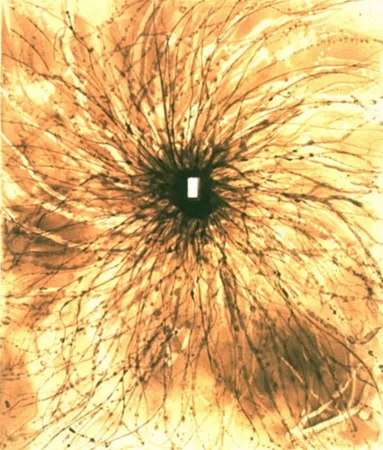 Aquatinta Kapoor - Door