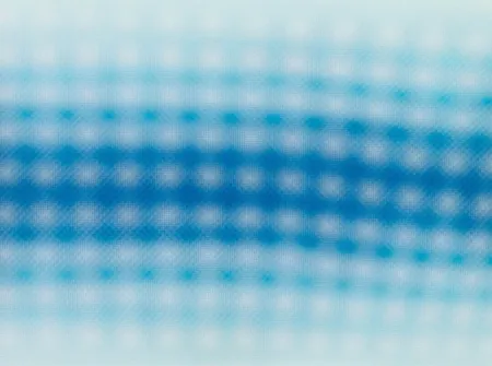 Stich Kapoor - Moiré 1