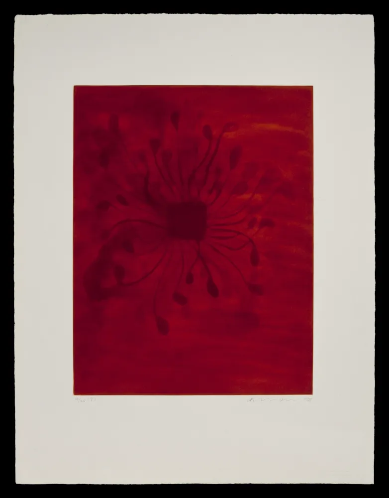 Aquatinta Kapoor - S/T