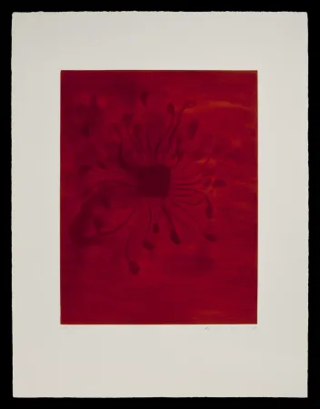 Aquatinta Kapoor - S/T