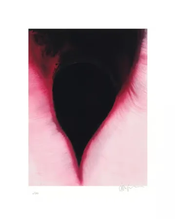 Multiple Kapoor - The Dark