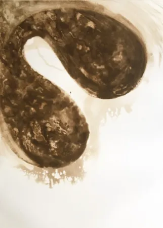 Aquatinta Kapoor - Untitled (12)