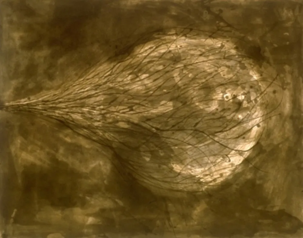 Aquatinta Kapoor - Untitled (III)