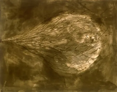 Aquatinta Kapoor - Untitled (III)