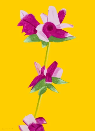 Keine Technische Katz - Azaleas on Yellow from The Flowers Portfolio