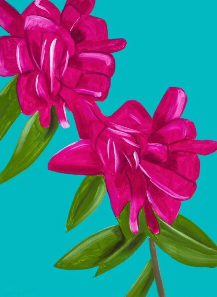 Keine Technische Katz - Peonies