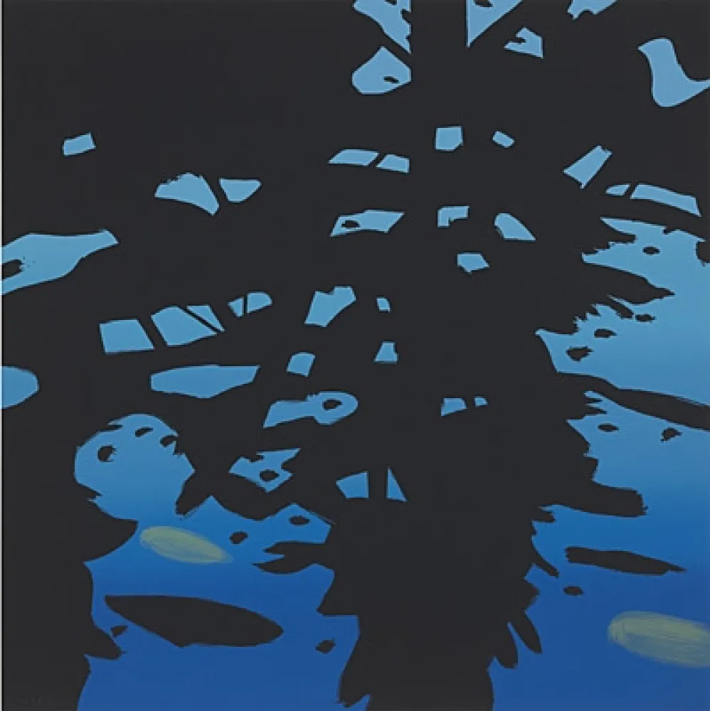 Siebdruck Katz - Reflection