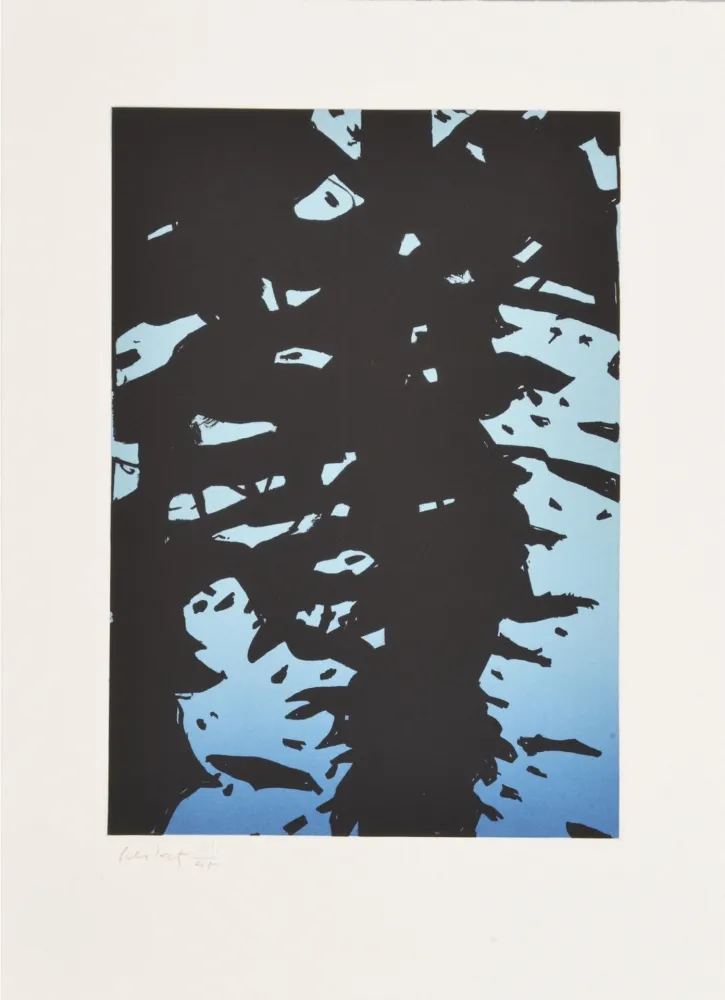 Radierung Katz - Reflection I