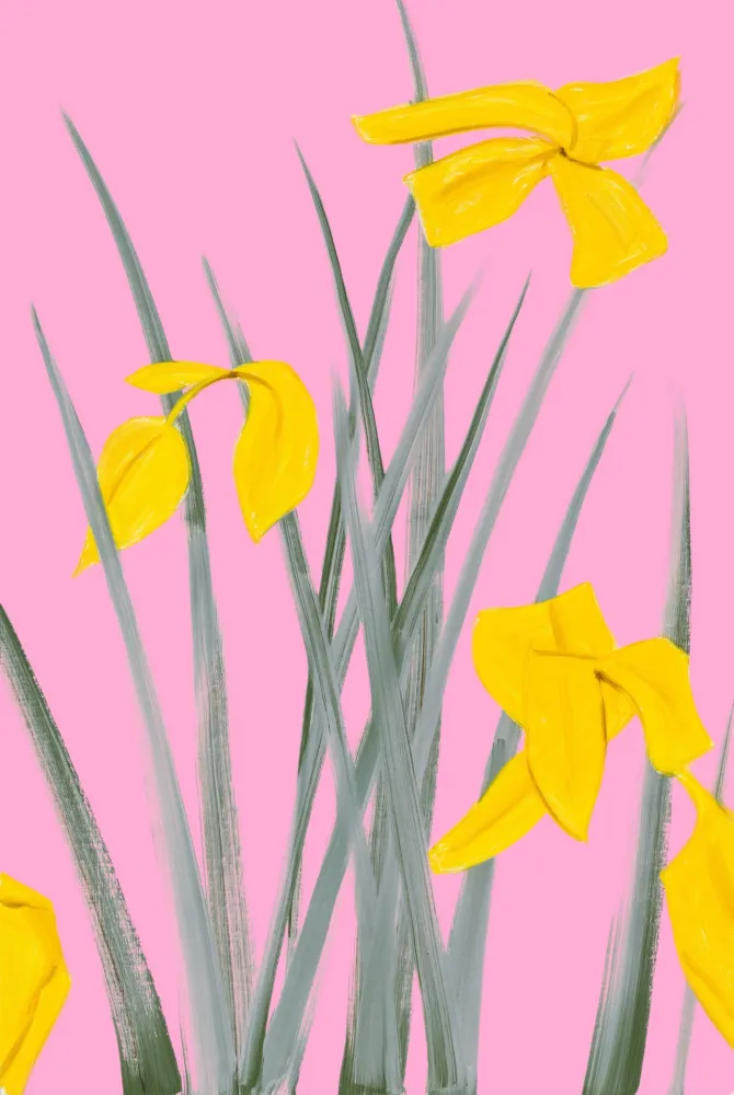 Keine Technische Katz - Yellow Flags 3