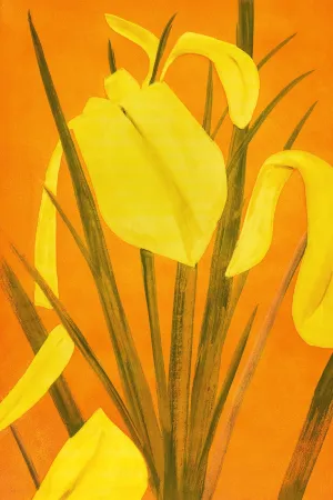 Radierung Und Aquatinta Katz - 