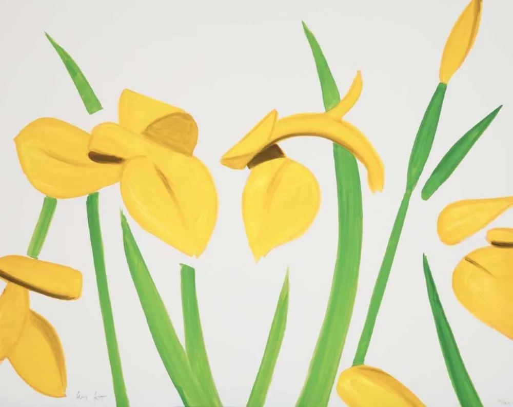 Keine Technische Katz - Yellow Flags on White