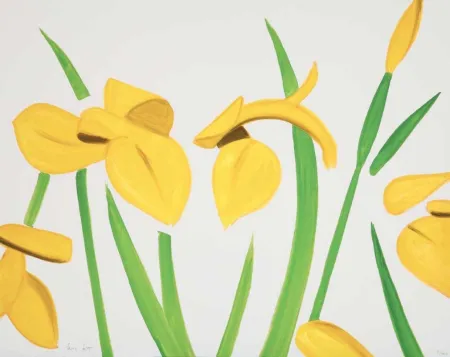 Keine Technische Katz - Yellow Flags on White