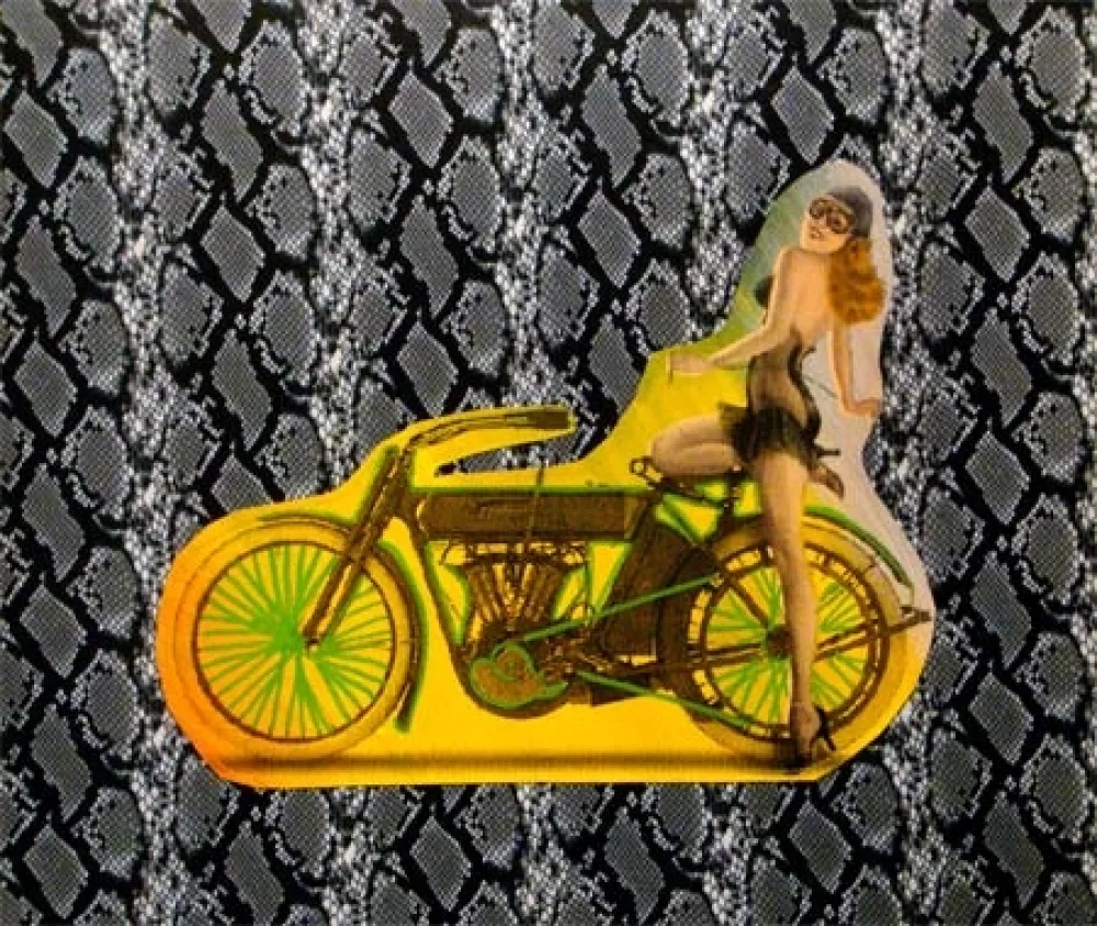 Siebdruck Kaufman - Motorbike on Snakeskin
