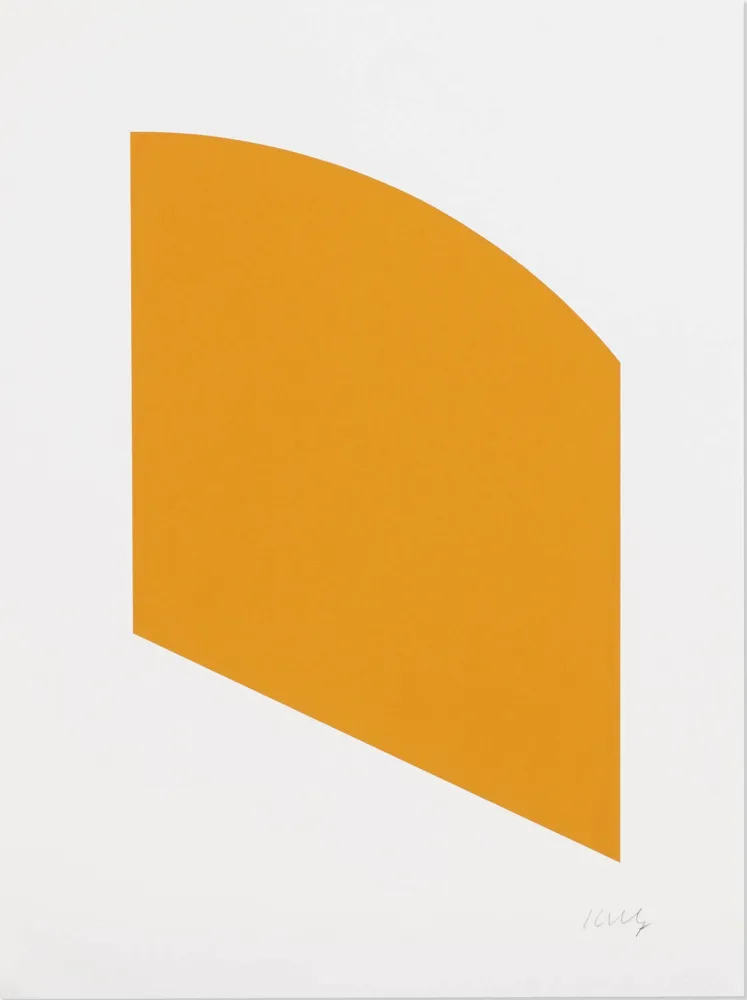 Lithographie Kelly - Orange (Curve)