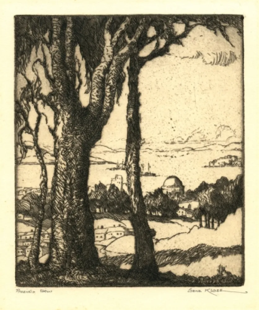 Stich Kloss - Presidio View