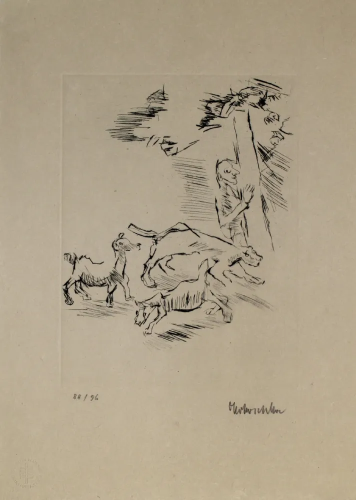 Stich Kokoschka - Der Beobachter