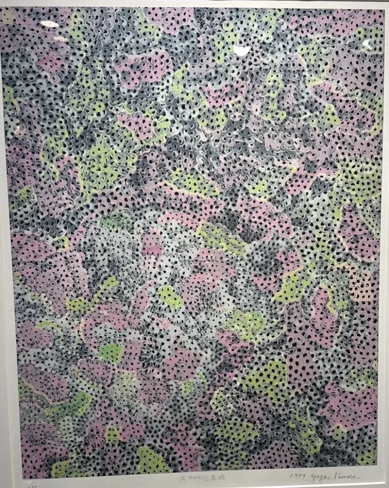 Siebdruck Kusama - The flowringsilk road