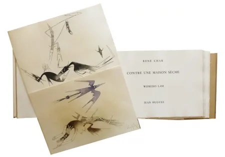 Illustriertes Buch Lam - Contre une maison sèche