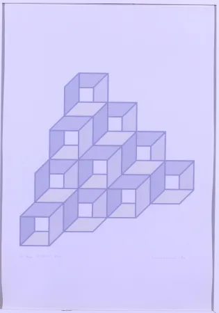 Siebdruck Landi - BISPAZIO